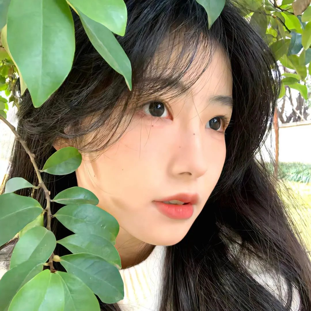 婚迷指数：5